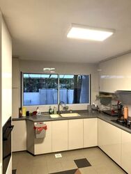 Wellington Park (D20), Terrace #554129691